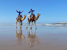 FULL DAY TRIP TO ESSAOUIRA BEACH FROM MARRAKECH